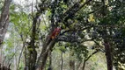 Foto 9 de Fazenda/Sítio com 3 Quartos à venda, 9000m² em Zona Rural, Jacutinga