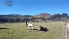 Foto 34 de Fazenda/Sítio com 16 Quartos à venda, 3500m² em Centro, Serra Negra