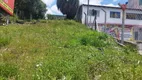 Foto 4 de Lote/Terreno à venda, 300m² em Guabirotuba, Curitiba