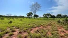 Foto 7 de Fazenda/Sítio com 3 Quartos à venda, 2613600m² em Nossa Senhora Aparecida, Uberlândia