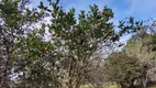 Foto 16 de Fazenda/Sítio com 2 Quartos à venda, 8500m² em Arraial dos Cunhas, Itajaí