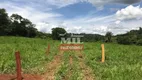 Foto 14 de Fazenda/Sítio à venda, 116m² em Zona Rural, Caturaí