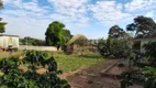 Foto 7 de Lote/Terreno à venda, 5794m² em Chácaras Fazenda Coelho, Hortolândia