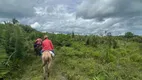 Foto 18 de Fazenda/Sítio à venda em , Bacabal