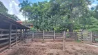 Foto 30 de Fazenda/Sítio com 3 Quartos à venda, 96m² em Zona Rural, Padre Bernardo