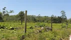 Foto 10 de Lote/Terreno à venda, 190000m² em Centro, Araquari