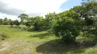 Foto 5 de Fazenda/Sítio à venda, 53000m² em Zona Rural, Areia Branca