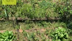 Foto 8 de Fazenda/Sítio com 4 Quartos à venda, 4000m² em Salto de Pirapora, Salto de Pirapora