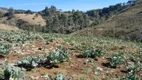 Foto 6 de Fazenda/Sítio à venda, 48000m² em Centro, Marmelópolis