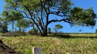 Foto 2 de Lote/Terreno à venda, 600m² em Piratininga, Osasco