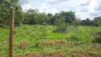 Foto 5 de Lote/Terreno à venda, 20000m² em Zona Rural, Sete Lagoas