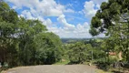 Foto 5 de Fazenda/Sítio com 4 Quartos à venda, 300m² em Zona Rural, Pinhalzinho