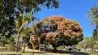 Foto 24 de Fazenda/Sítio com 4 Quartos à venda, 10m² em Centro, Silvânia