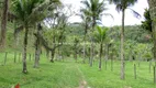 Foto 3 de Fazenda/Sítio com 6 Quartos à venda, 150000m² em Funchal, Cachoeiras de Macacu