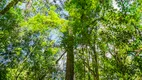 Foto 39 de Fazenda/Sítio à venda, 45000m² em Zona Rural, Três Coroas