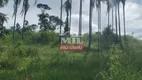 Foto 16 de Fazenda/Sítio à venda em Setor Central, Campinaçu