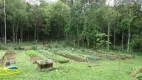 Foto 22 de Fazenda/Sítio com 3 Quartos para alugar, 120m² em Roseira, Colombo