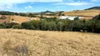 Foto 4 de Lote/Terreno à venda, 24000m² em Centro, Senador Amaral