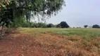 Foto 26 de Fazenda/Sítio com 2 Quartos à venda, 350m² em Area Rural de Limeira, Limeira