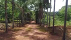 Foto 117 de Fazenda/Sítio com 5 Quartos à venda, 145000m² em Área Rural, Aragoiânia