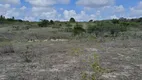 Foto 9 de Fazenda/Sítio com 3 Quartos à venda, 150000m² em Centro, São Gonçalo do Amarante