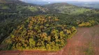 Foto 10 de Fazenda/Sítio com 3 Quartos à venda, 430000m² em Zona Rural, Rio Manso