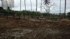 Foto 11 de Fazenda/Sítio com 3 Quartos à venda, 25000m² em Centro, Ceará Mirim