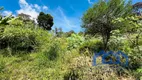 Foto 19 de Fazenda/Sítio com 2 Quartos à venda, 4000m² em Zona Rural, Mairinque