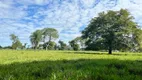 Foto 17 de Fazenda/Sítio à venda em Centro, Anastácio