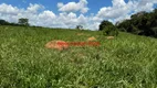 Foto 24 de Fazenda/Sítio com 3 Quartos à venda, 200m² em , Piracanjuba