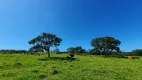 Foto 3 de Lote/Terreno à venda, 20000m² em Zona Rural, São Gonçalo do Pará