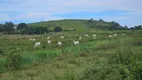 Foto 6 de Fazenda/Sítio com 2 Quartos à venda, 5000m² em Jucu, Viana