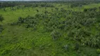 Foto 5 de Fazenda/Sítio com 2 Quartos à venda, 150m² em Centro, Piraquê