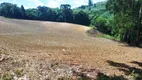 Foto 2 de Fazenda/Sítio à venda, 10000m² em Morro Azul, Almirante Tamandaré