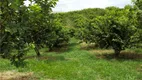 Foto 36 de Fazenda/Sítio com 3 Quartos à venda, 310m² em Pedra Branca, Campinas