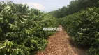 Foto 3 de Fazenda/Sítio à venda, 726000m² em Zona Rural, Gália