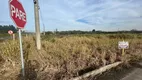 Foto 4 de Lote/Terreno à venda, 10000m² em Quarta Linha, Criciúma