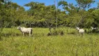 Foto 10 de Fazenda/Sítio com 5 Quartos à venda, 3557400m² em Zona Rural, Marília