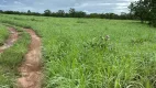 Foto 10 de Fazenda/Sítio à venda em Zona Rural, São Valério da Natividade