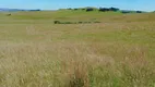 Foto 6 de Fazenda/Sítio à venda, 2250000m² em Centro, Cambará do Sul