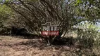 Foto 30 de Fazenda/Sítio com 5 Quartos à venda, 1329257m² em Zona Rural, Abadia de Goiás