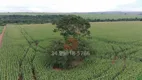 Foto 20 de Fazenda/Sítio com 2 Quartos à venda, 16000000m² em Nova Uberlandia, Uberlândia