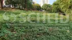 Foto 2 de Lote/Terreno à venda, 7000m² em Vila das Belezas, São Paulo