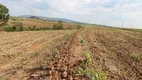 Foto 15 de Lote/Terreno à venda, 124520m² em Zona Rural, Boituva