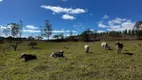 Foto 16 de Fazenda/Sítio com 3 Quartos à venda, 200m² em Centro, Pilar do Sul