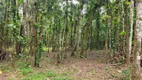Foto 37 de Fazenda/Sítio com 2 Quartos à venda, 250m² em Vila Nova, Joinville