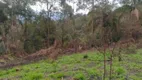 Foto 4 de Lote/Terreno à venda, 5000m² em , Pirapora do Bom Jesus