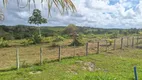 Foto 23 de Fazenda/Sítio com 6 Quartos à venda, 450000m² em Zona Rural, Conde