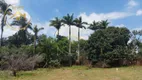 Foto 4 de Lote/Terreno à venda, 4168m² em Betel, Paulínia