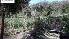 Foto 18 de Fazenda/Sítio com 3 Quartos à venda, 20000m² em Espigão das Antas, Mandirituba